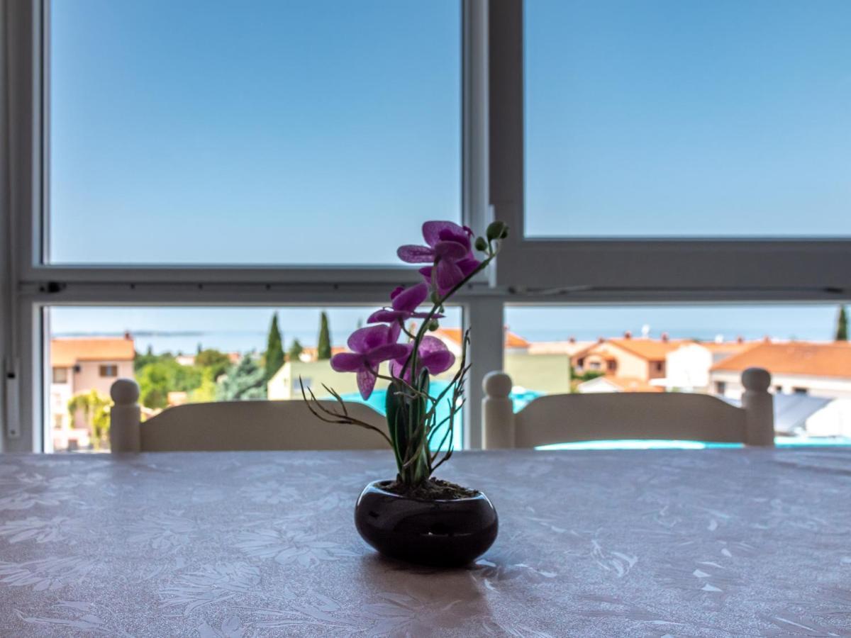 Apartment Berat Vodnjan